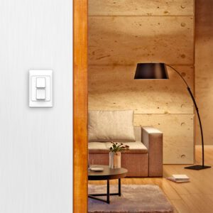 connect 2 gang smart wall switch in room